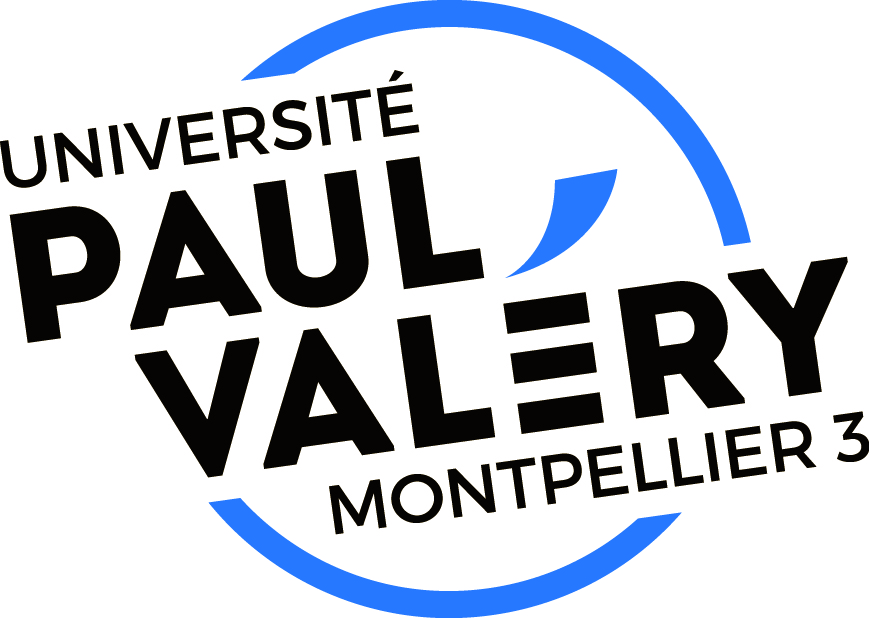 LOGO BLEU VF