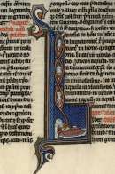 Bible latine