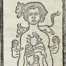 Calendrier des bergers, 1491