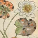 Evènement Un herbier-monde