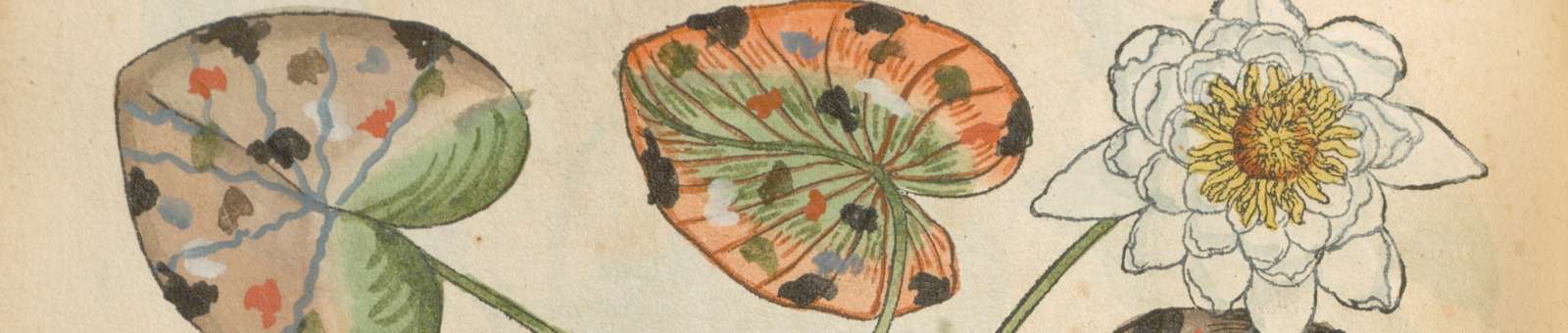 Evènement Un herbier-monde