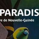 Exposition Plumes du Paradis