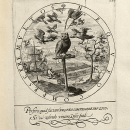 livre d'emblème